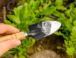 Gardening Practices Using Baking Soda