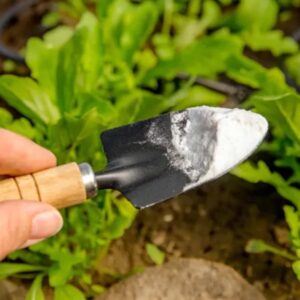 Gardening Practices Using Baking Soda