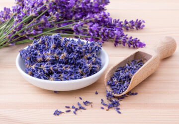 Fragrant Bathing Herbs