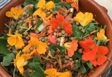 Make Pickled Nasturtium Buds and Seeds