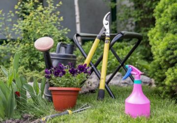 Cultivate a Stunning Garden