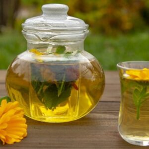 Discover 8 Herbal Antibiotics