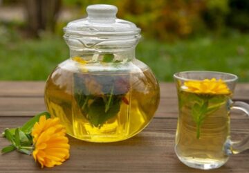 Discover 8 Herbal Antibiotics