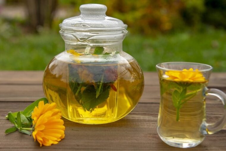 Discover 8 Herbal Antibiotics