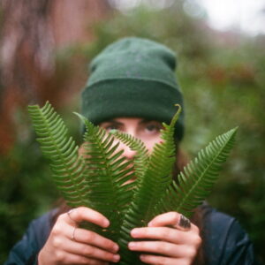 Adding Ferns to Your Garden