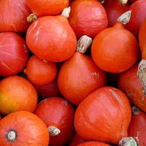 Hokkaido Pumpkin: A Culinary Gem with Japanese Roots