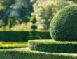 The Art of Topiary