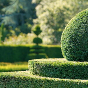 The Art of Topiary