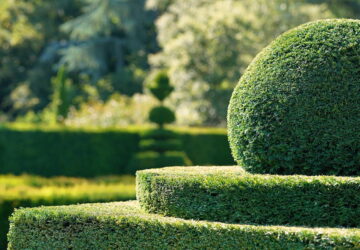 The Art of Topiary