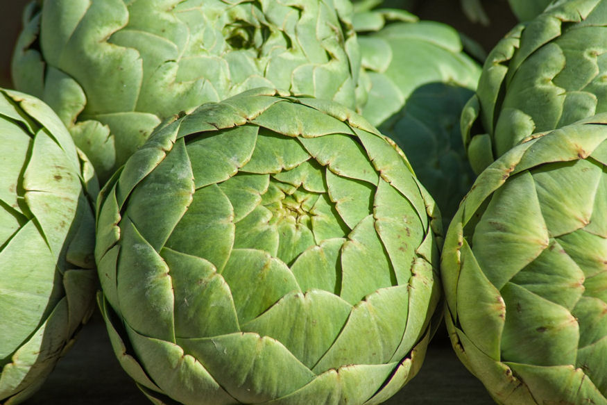 Grow Your Own Artichokes: A Unique Addition to Your Garden