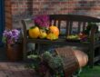 From Fall to Winter: Your Garden's Transition