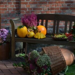 From Fall to Winter: Your Garden's Transition