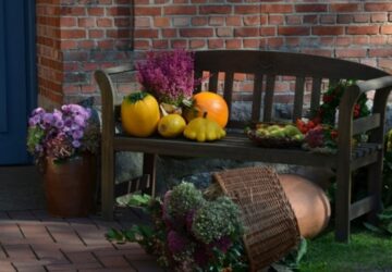 From Fall to Winter: Your Garden's Transition