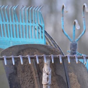 Essential Autumn Garden Tasks