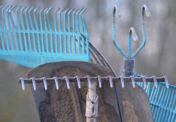 Essential Autumn Garden Tasks