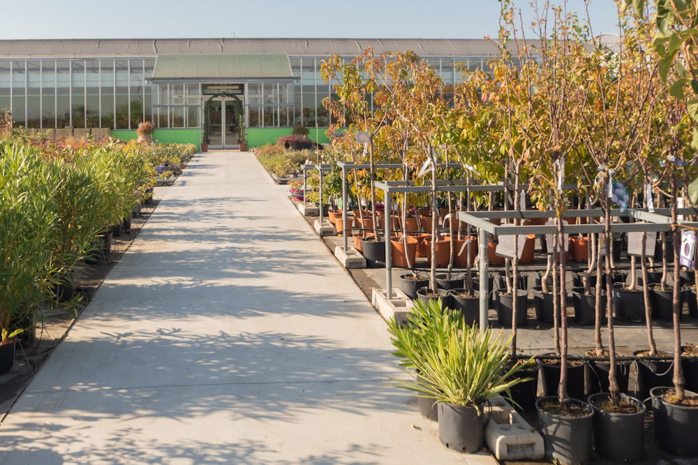 Autumn Planting for Home Gardeners