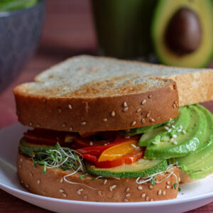 Avocado Enthusiasts' Guide: Methods for Successful Seed Germination