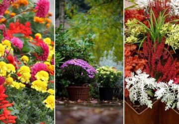 Elevate Your Balcony with Vibrant Autumn Colors