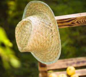 Ready Your Garden for Hot, Dry Summers