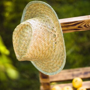 Ready Your Garden for Hot, Dry Summers