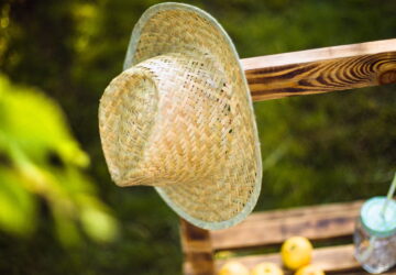 Ready Your Garden for Hot, Dry Summers