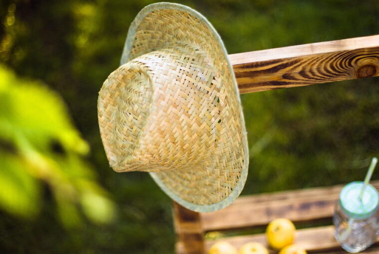 Ready Your Garden for Hot, Dry Summers