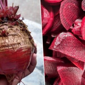 Mastering Beet Processing and Pickling