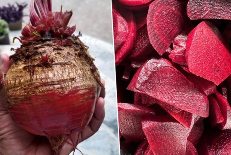 Mastering Beet Processing and Pickling