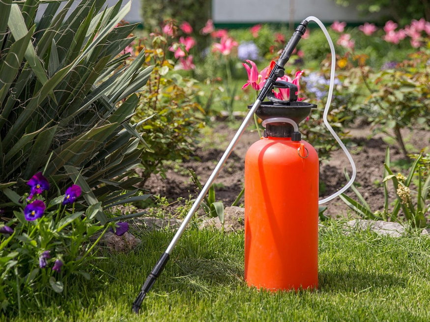 Why Do We Believe in Quick Gardening Tricks?