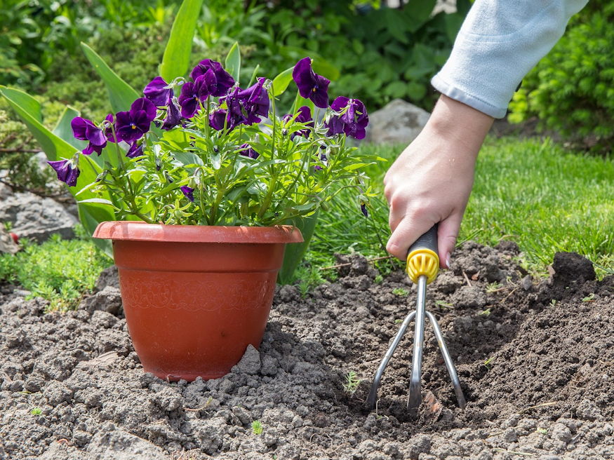 Why Do We Believe in Quick Gardening Tricks?