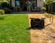 The Big Summer Lawn Mowing Mistake