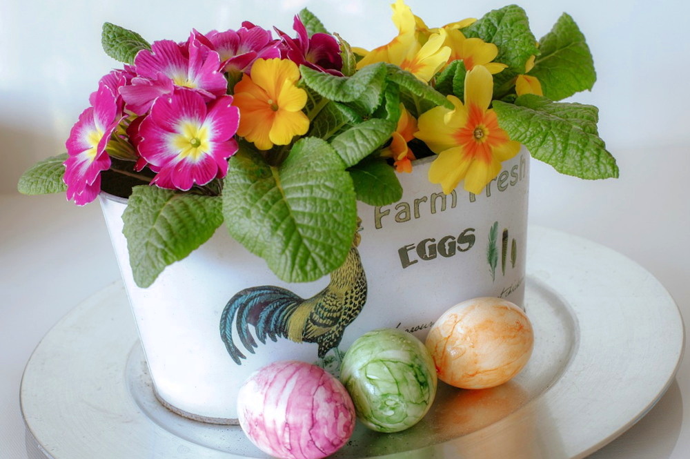 Flowers and Plants to Elevate Your Easter Decor