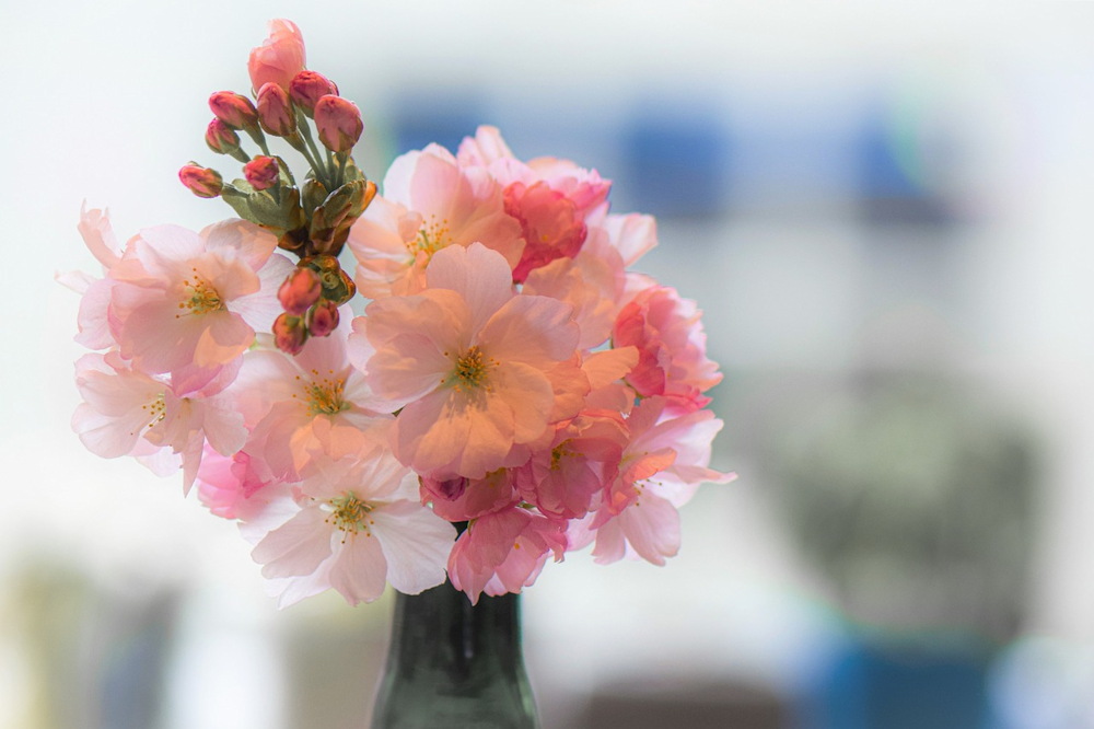 Flowers and Plants to Elevate Your Easter Decor