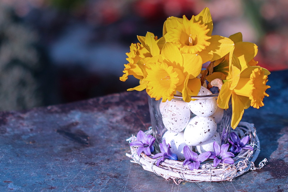 Flowers and Plants to Elevate Your Easter Decor