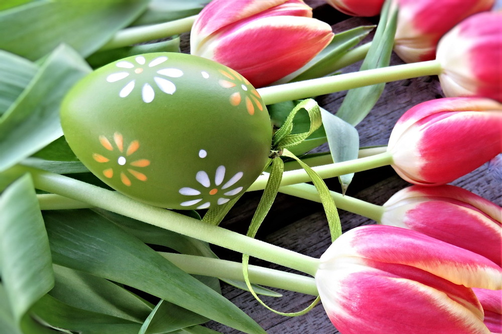 Flowers and Plants to Elevate Your Easter Decor