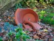 How to Reuse Cracked Flowerpots