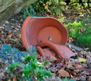 How to Reuse Cracked Flowerpots