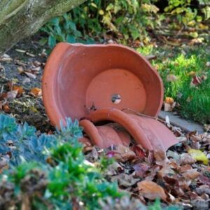 How to Reuse Cracked Flowerpots