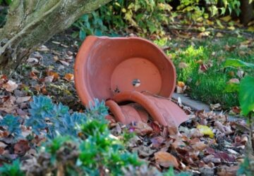 How to Reuse Cracked Flowerpots