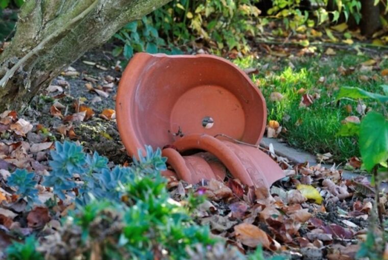 How to Reuse Cracked Flowerpots