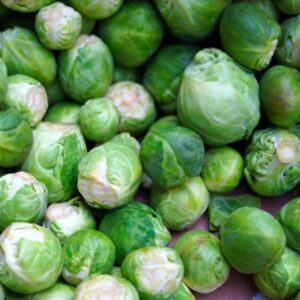How Brussels Sprouts Grant You a Winter Harvest