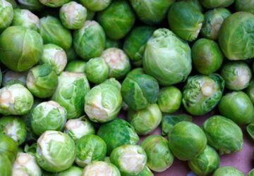 How Brussels Sprouts Grant You a Winter Harvest
