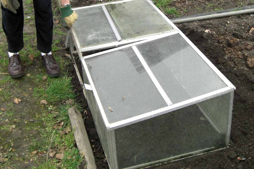 Building a Cold Frame: Start Planting at the End of Winter