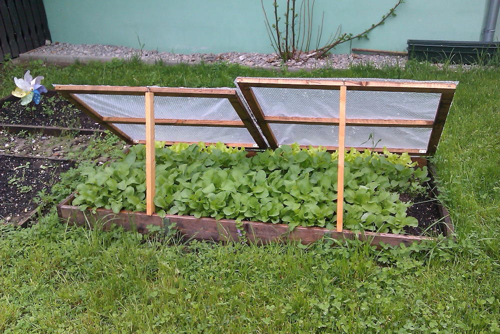 Building a Cold Frame: Start Planting at the End of Winter