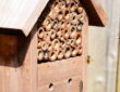 Insect Hotels: Exploring Their Importance