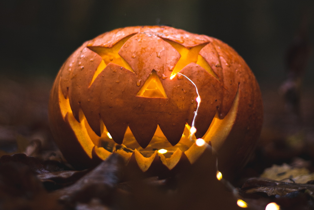 Carving Halloween Magic: The Art of Jack-O’-Lantern Making – Garden Guide