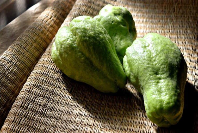 Discovering the Versatile Chayote