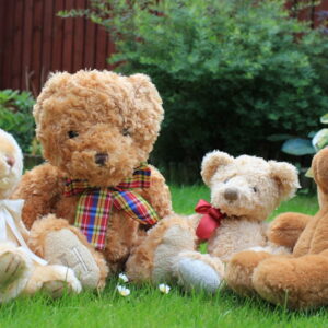 Crafting the Perfect Child-Friendly Garden