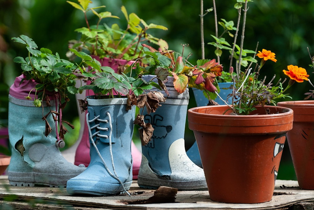 Crafting the Perfect Child-Friendly Garden: 10 Common Pitfalls and How ...