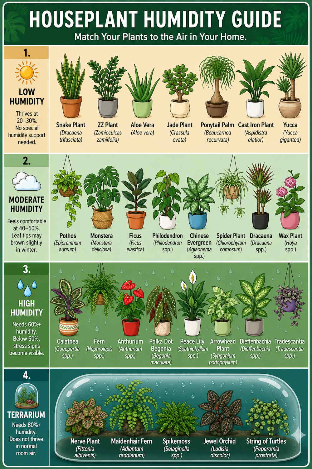 How to Choose Plants for Your Home’s Air